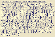 Another Elegant Font, a Serif Font by 177Studio (Thumbnail 7 of 8)