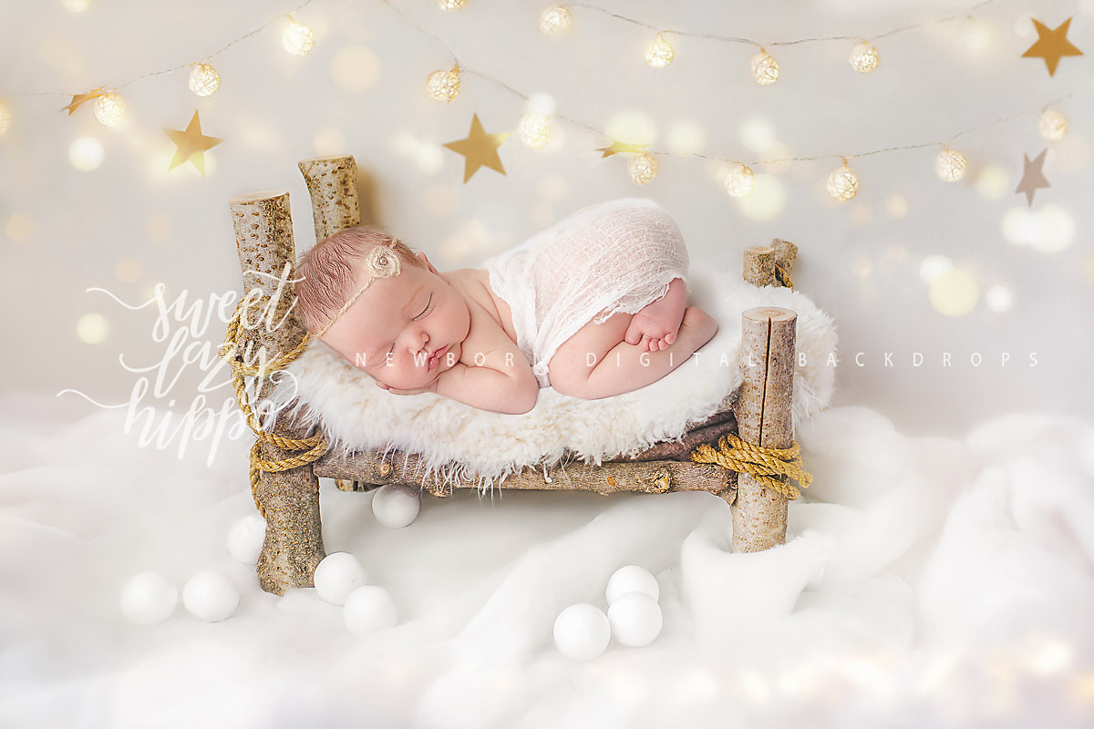 Christmas Newborn Digital Backdrop