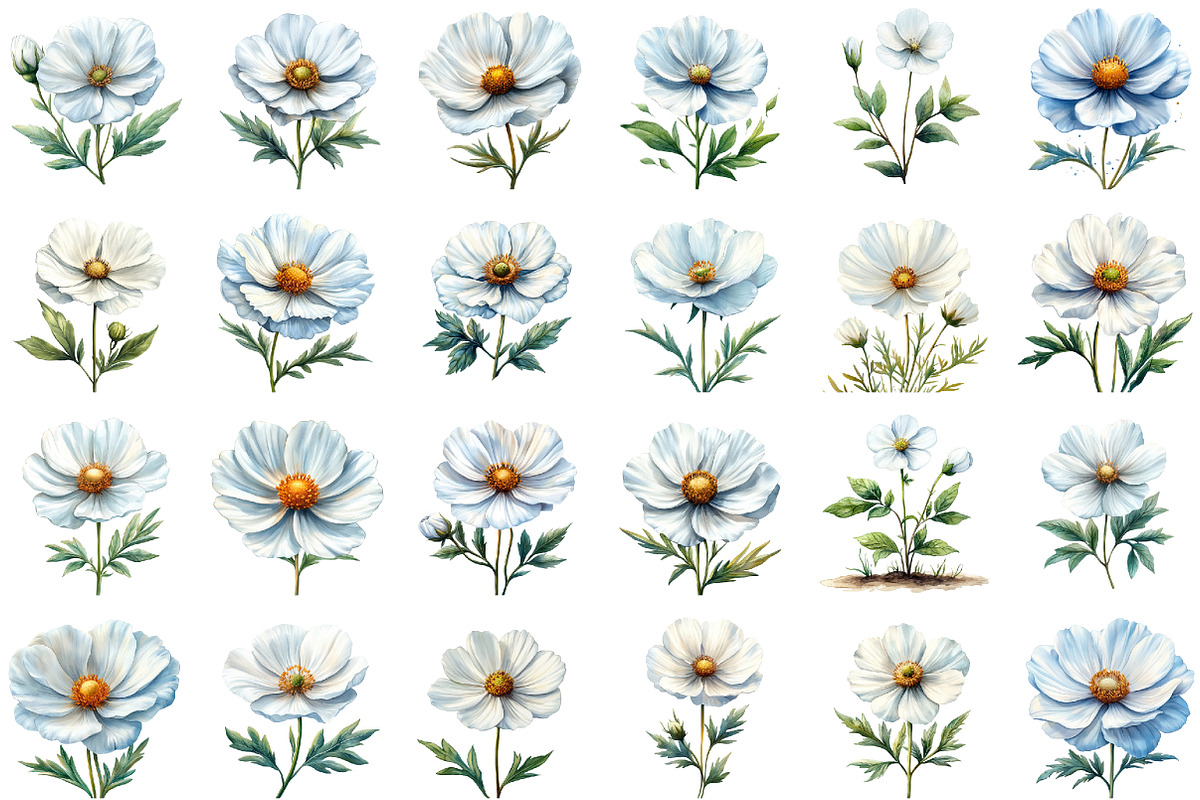 Wedding White Cosmos Flower Clipart, an Illustration by Sublimation Artist (Photo 2 of 6)