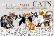 Pedigree Cats Watercolor Set, an Animal Illustration by FineArt (Thumbnail 1 of 9)