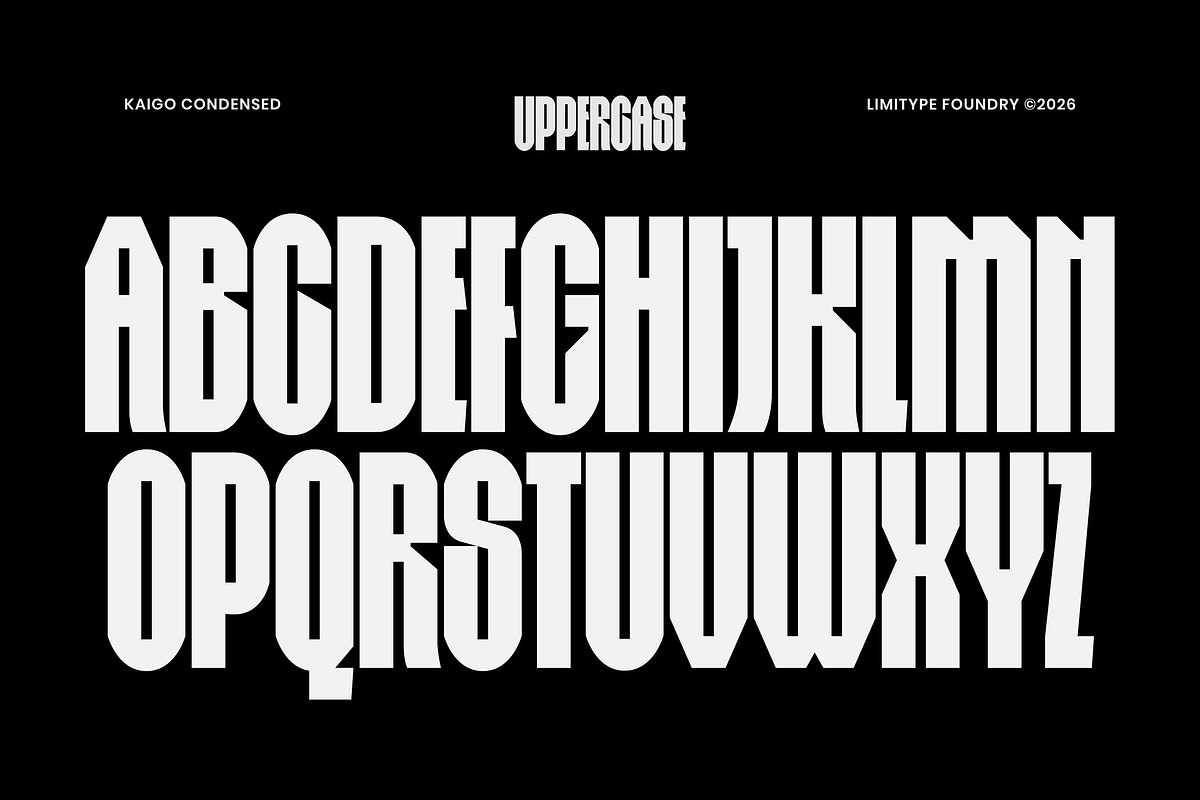 Kaigo - Bold Condensed Font, a Sans Serif Font by limitype (Photo 9 of 12)