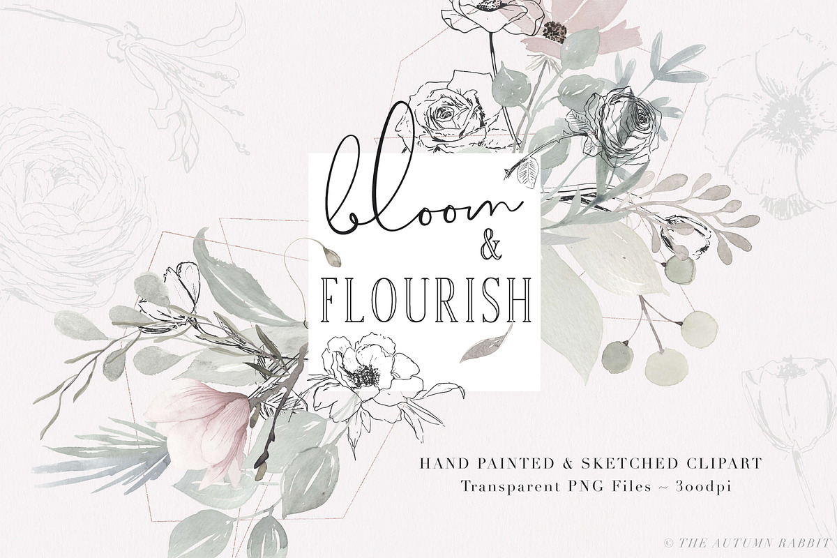Bloom & Flourish - Floral Clipart, an Illustration by The Autumn Rabbit Ltd (Photo 1 of 10)
