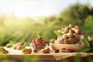 Peanuts on wooden table with crop fields in the background, a Food & Drink Photo by Davizro's Market