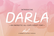 Darla Handwritten Script, a Script Font by Parker Creative (Thumbnail 1 of 5)