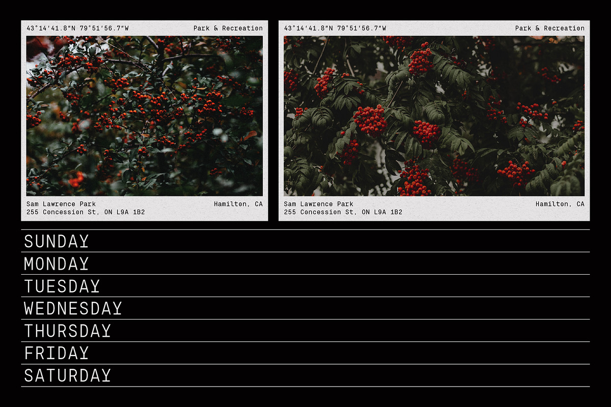 80% OFF Eingrantch Monospaced preview 8