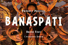 Banaspati | Brush Font