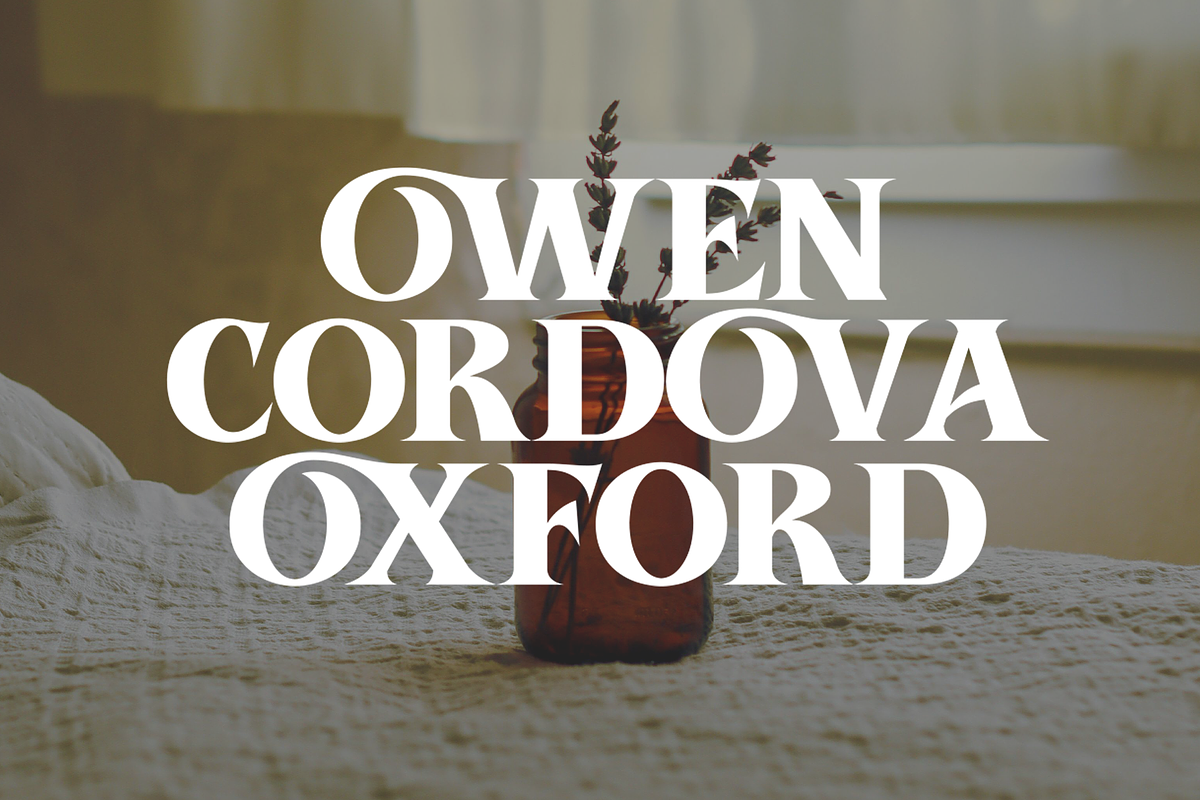 Aosta - Serif Display Font, a Serif Font by overlaytemplates (Photo 2 of 5)