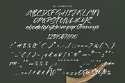 Goldeny Battiely Modern Brush Font, a Handwritten Font by operatype.co (Thumbnail 10 of 10)