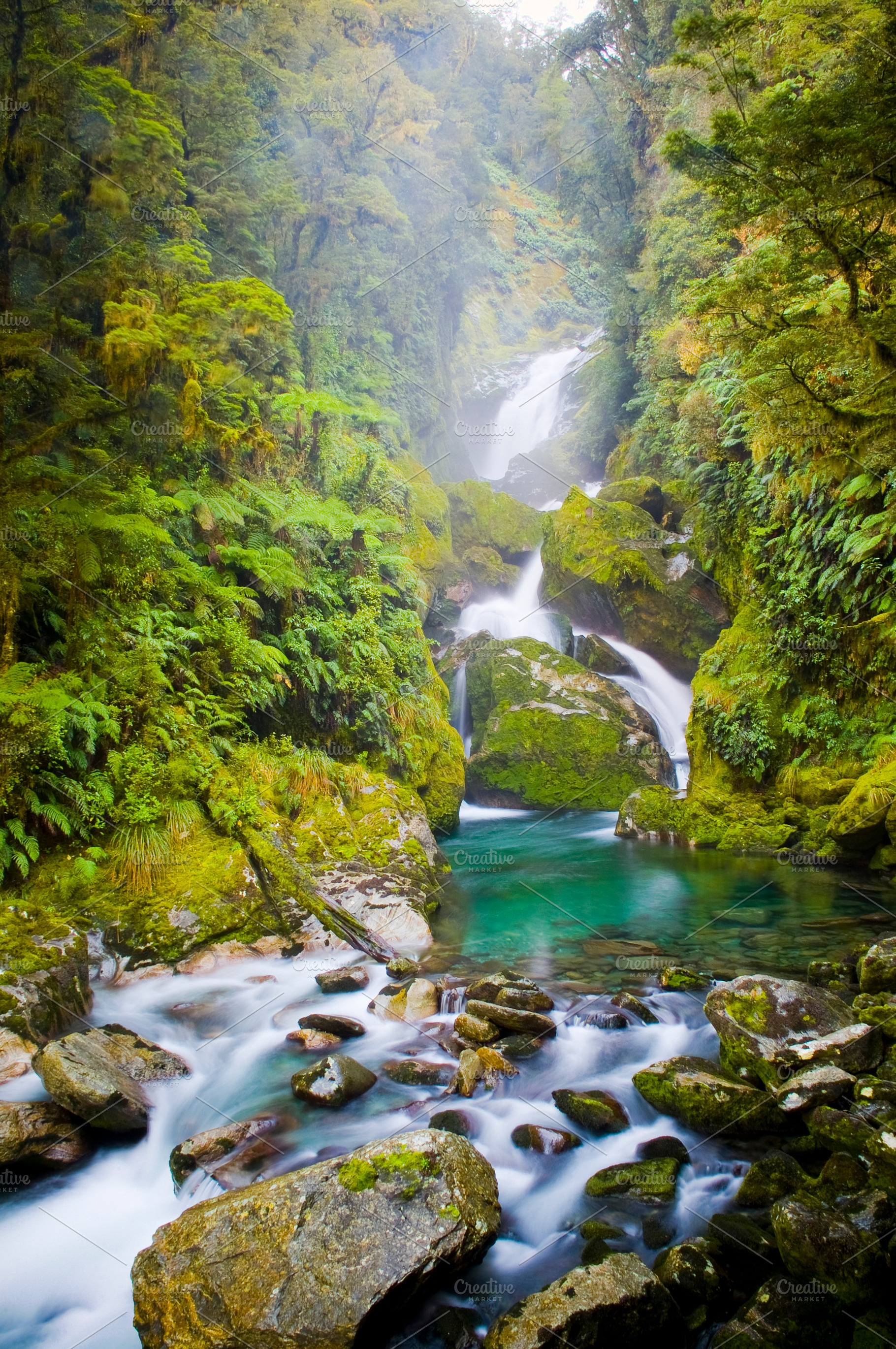 Mackay Falls Waterfall New Zealand, a Nature Photo by THP Creative