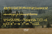 Serella van Houten | Hand Drawn Font, a Handwritten Font by Denustudios (Thumbnail 13 of 15)