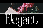 Considered Connected - Elegant Serif, a Serif Font by 177Studio (Thumbnail 6 of 8)