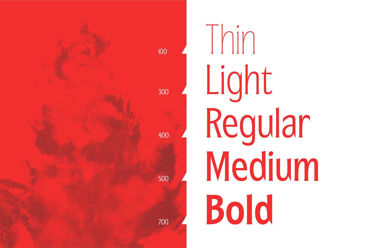 Republish Variable Font, a Serif Font by Abda Laka (Photo 2 of 21)