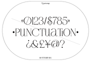 Rotterburg Stylish Display Font, a Serif Font by Typetemp Studio (Thumbnail 5 of 20)