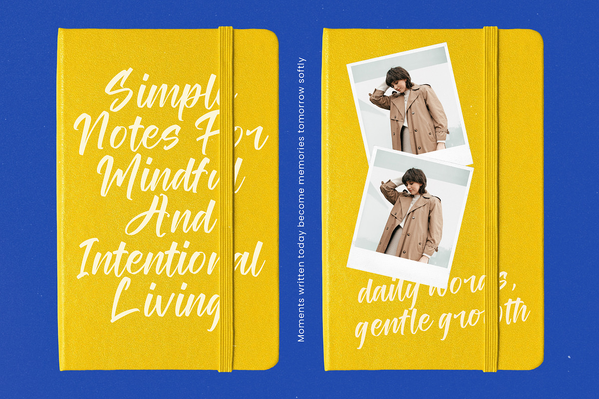 Tomato Balance Modern Handwritten, a Script Font by stylishtype.co (Photo 4 of 20)