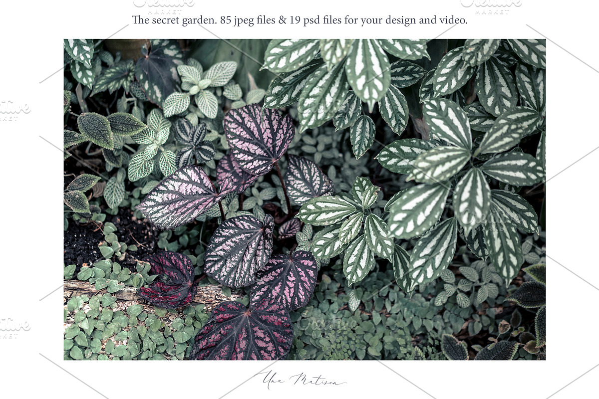 Photo bundle+bonus, a Social Media Template by Una Matison (Photo 16 of 21)