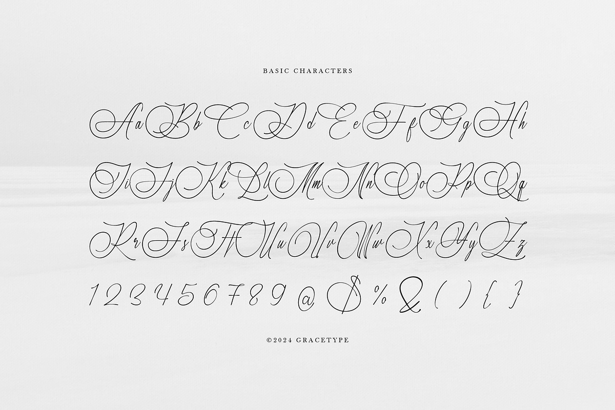 Marseliyon Elegant Signature Script, a Script Font by gracetype_studio (Photo 10 of 12)