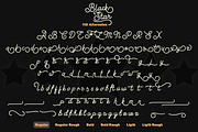 Black Star, a Script Font by Larin Type Co. (Thumbnail 12 of 12)