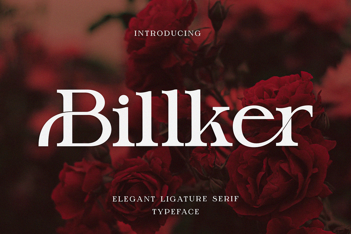 Billker Elegant Ligature Serif, a Serif Font by Alfinart (Photo 1 of 10)