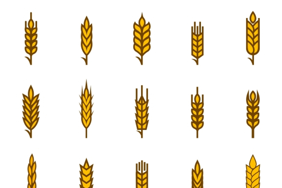 Ears of wheat bread symbols, a Graphic by Microvector
