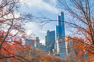 Autumn Central Park with modern Manhattan skyscrapers skyline in, a Photo by Pictures for you!!!!!!!!!