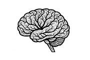 Brain Tree Knowledge Design Bundle, an Illustration by Gaye Art (Thumbnail 27 of 31)