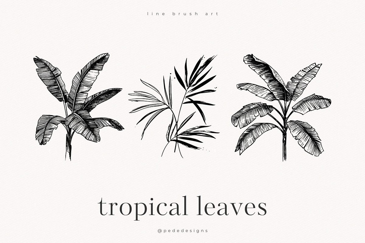 Tropical Leaves, a Decorative Illustration by PeDe Designs (Photo 6 of 7)