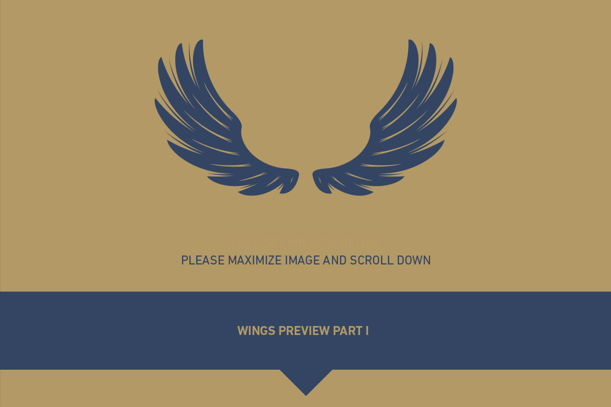 160 Pairs of Vector Wings, an Object Graphic by Damien (Photo 12 of 17)