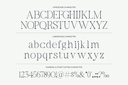Bavelina Modern Elegant Serif Font, a Serif Font by Rasio Studio (Thumbnail 2 of 9)