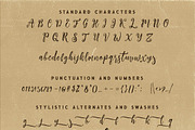 Sunglow Font Duo, a Script Font by Deeezy (Thumbnail 7 of 7)