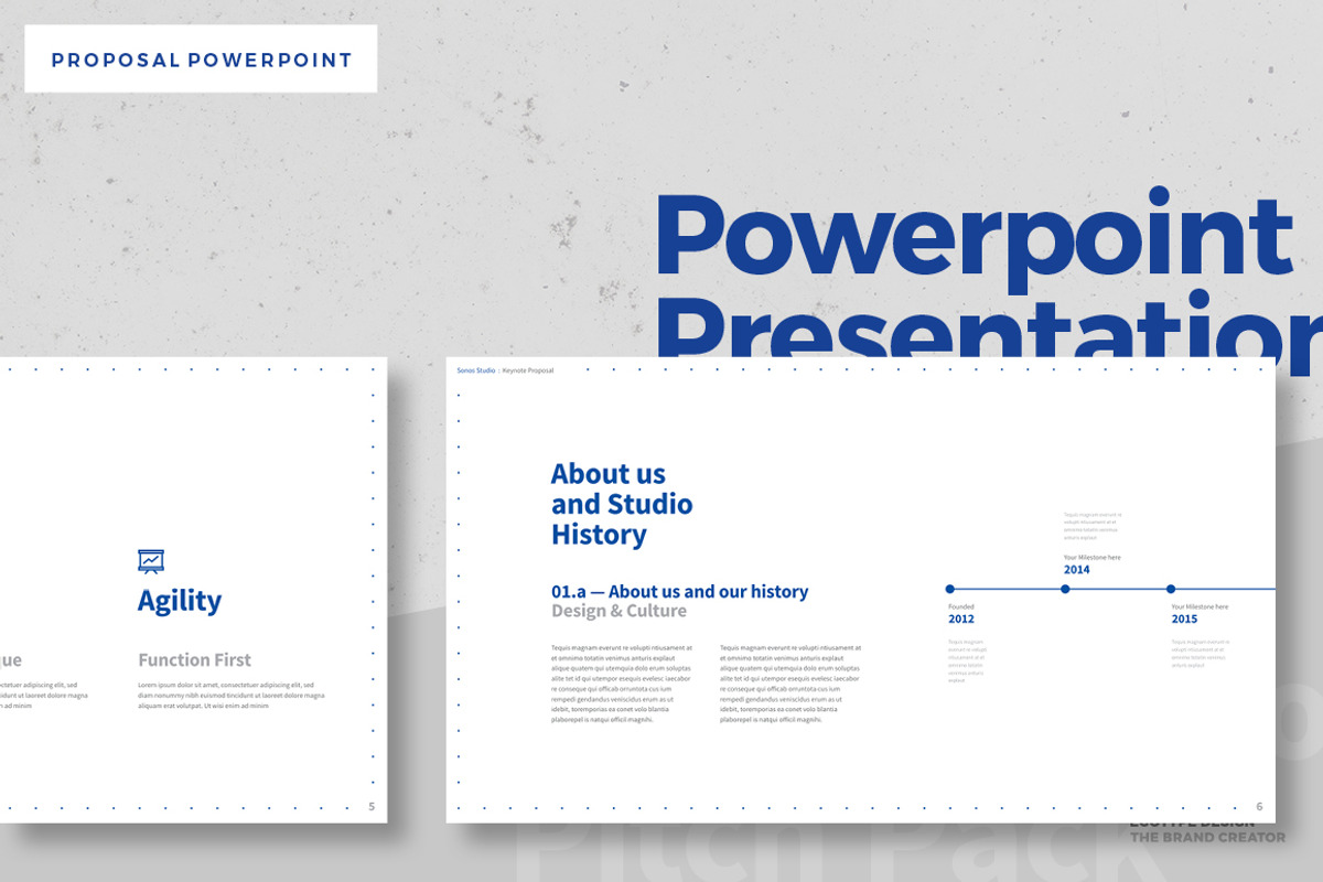 Project Proposal Powerpoint Template, a Presentation Template by Egotype (Photo 8 of 24)