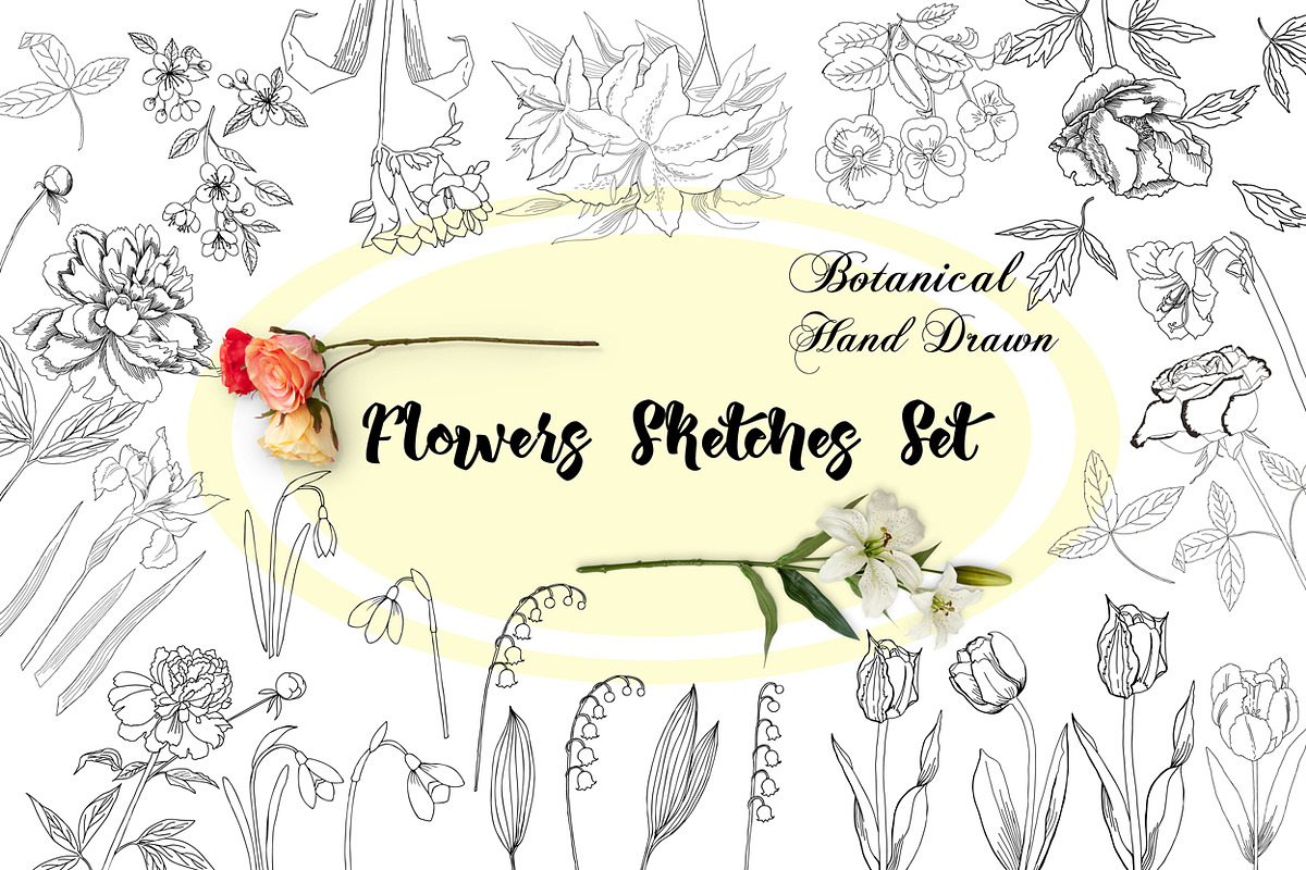 Flowers Sketches Set, a Decorative Illustration by Nataliapiache (Photo 1 of 7)
