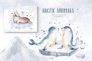 Arctic cute animals.  Watercolor set, an Animal Illustration by Peace ART (Thumbnail 9 of 22)