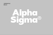 VERSATILE | Geometric Family, a Sans Serif Font by InkwellTypeCo (Thumbnail 4 of 19)