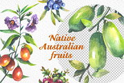 Australian Native fruits cliparts, an Illustration by FITALARTSNEDIGI (Thumbnail 4 of 7)