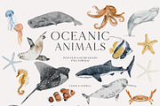 OCEAN Undersea Coral reef animals, an Animal Illustration by Grace Noboa Illustrations (Thumbnail 7 of 15)