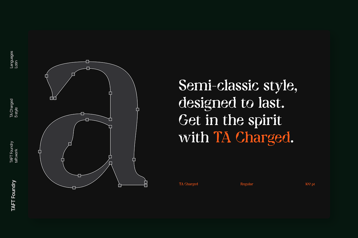 TA Charged, a Serif Font by TAFT Foundry (Photo 2 of 19)