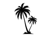 Summer Beach Palm Bundle, an Illustration by jahid234 (Thumbnail 20 of 21)
