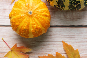 Autumn gourds and maple leaves on wood background, a Holiday Photo by Olena Rudo