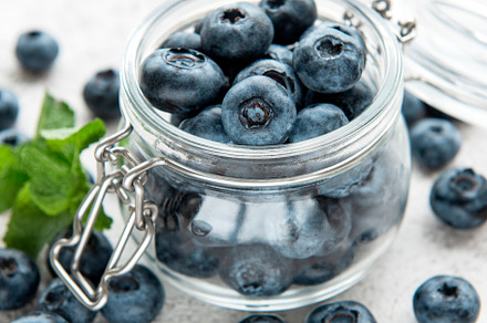 Blueberries on concrete background, a Food & Drink Photo by Olena Rudo