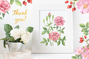 Wild Roses Watercolor Set, a Decorative Illustration by Irina Diasli (Thumbnail 9 of 9)