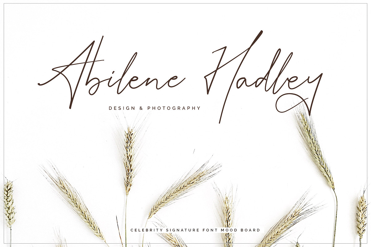 Celebrity Signature Font preview 8
