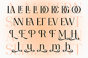 Redolent - Modern Stylish, a Serif Font by RockboyStd (Thumbnail 11 of 12)