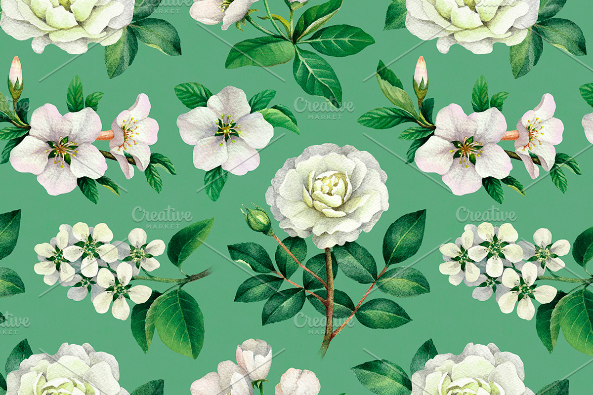 White summer nature illustrations, an Illustration by Sundra (Photo 3 of 5)
