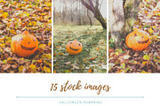 Rustic Pumpkin Garden, a Holiday Photo by pictures for you (Thumbnail 1 of 11)