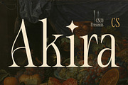 CS Akira – Stylish Font, a Serif Font by Craft Supply Co. (Thumbnail 1 of 7)