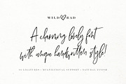 Wild & Rad Handwritten Script Font, a Script Font by Creator Goodies (Thumbnail 2 of 10)
