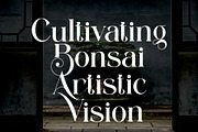 Mulnir Modern Serif Font, a Serif Font by Alfinart (Thumbnail 7 of 11)