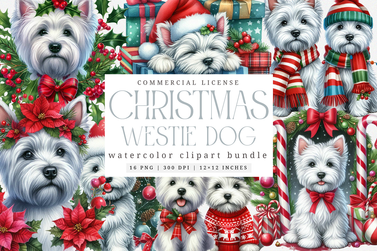 Christmas Westie Png Graphics, an Illustration by SinaCreation (Photo 1 of 5)