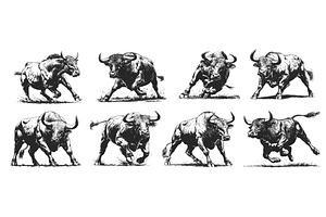 Engraving bull set. Hand drawn angry, an Animal Illustration by Stock-Smart-Start