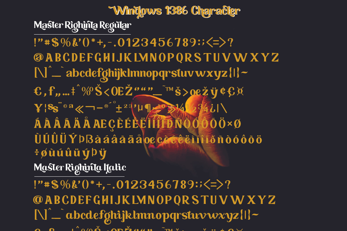 Master Righinta, a Serif Font by TM Type (Photo 12 of 15)